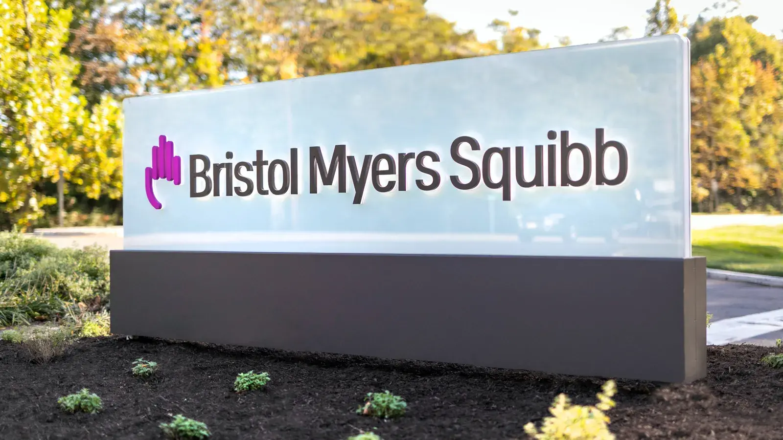 Inside Bristol Myers’ AI-powered procurement overhaul